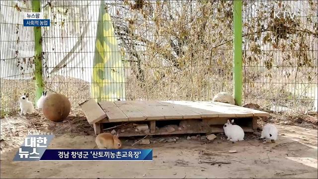 사회적농업 [뉴스팜]