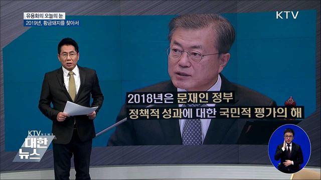 2019년, 황금돼지를 찾아서 [유용화의 오늘의 눈]