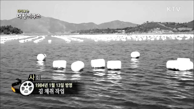 다시보는 대한늬우스 (84. 1. 13) 이미지