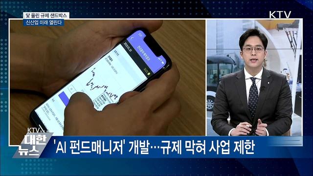 &#39;한국형 규제 샌드박스&#39; 닻 올렸다