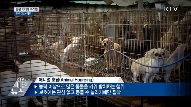 동물 학대해 죽이면 &#39;3년 이하 징역&#39;