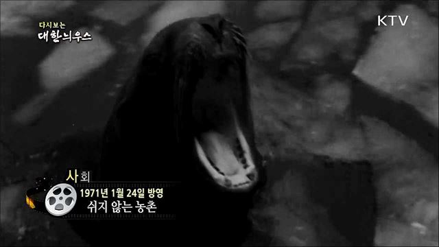 다시보는 대한늬우스 (71. 1. 24) 이미지