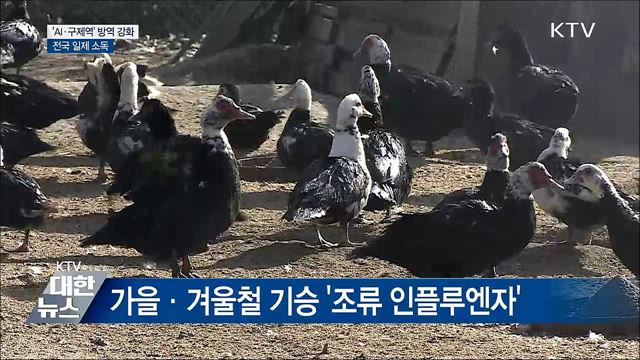 겨울철 기승 &#39;AI·구제역&#39;···설 앞두고 &#39;일제 소독&#39;