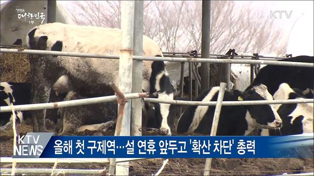 안성 젖소농장 &#39;구제역 확진&#39;···긴급 방역조치