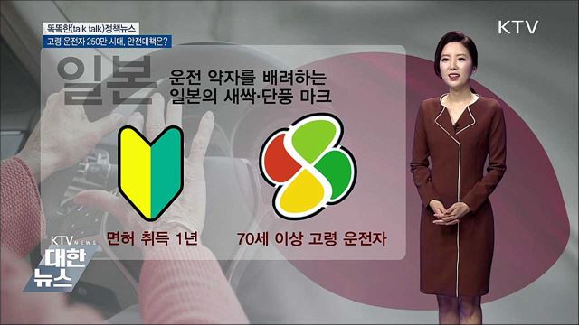 고령 운전자 250만 시대, 안전대책은? [똑똑한 정책뉴스]