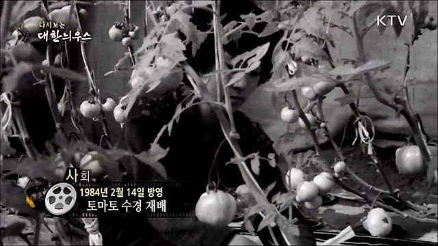 다시보는 대한늬우스 (84. 2. 14) 이미지