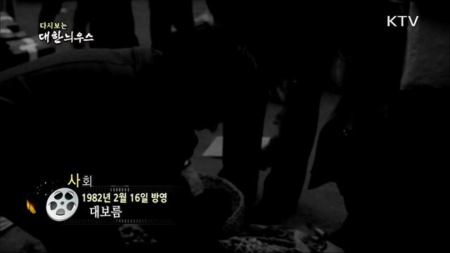 다시보는 대한늬우스 (82. 2. 16) 이미지
