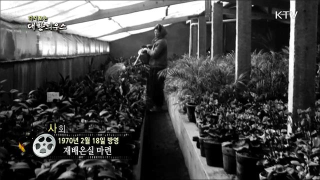 다시보는 대한늬우스 (70. 2. 18) 이미지