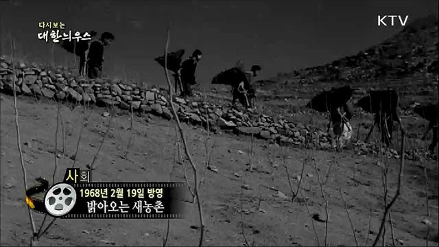 다시보는 대한늬우스 (68. 2. 19) 이미지