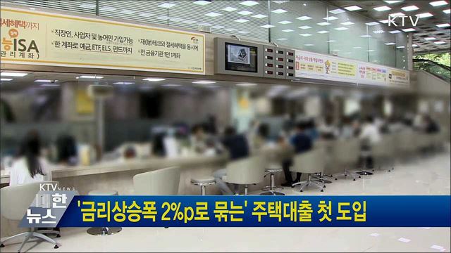 &#39;금리상승폭 2&#37;p로 묶는&#39; 주택대출 첫 도입