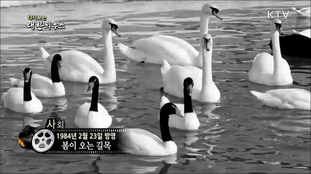 다시보는 대한늬우스 (84. 2. 23) 이미지