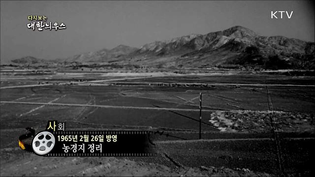 다시보는 대한늬우스(65. 2. 26) 이미지