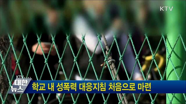 학교 내 성폭력 대응지침 처음으로 마련