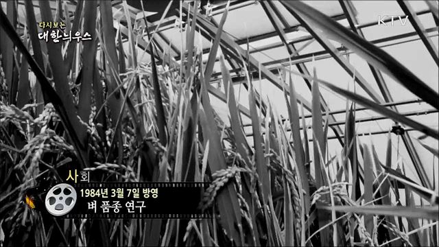 다시보는 대한늬우스 (84. 3. 7) 이미지