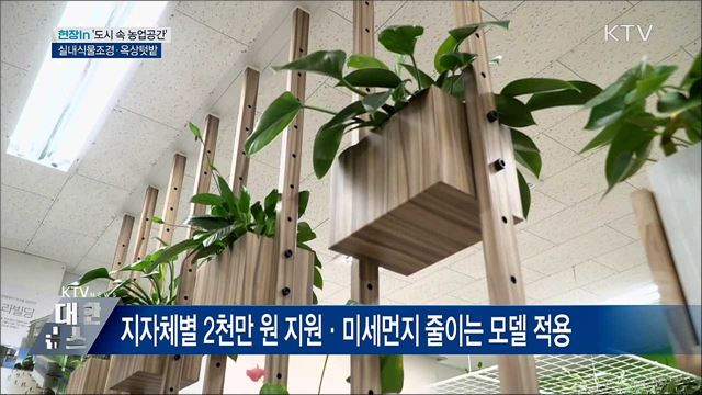 실내식물조경·옥상텃밭···농업가치↑ 미세먼지↓ [현장in]
