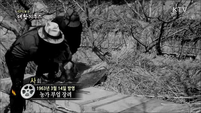 다시보는 대한늬우스 (63. 3. 14) 이미지