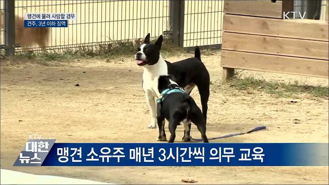 맹견에 물려 사망 시 견주 3년 이하 징역