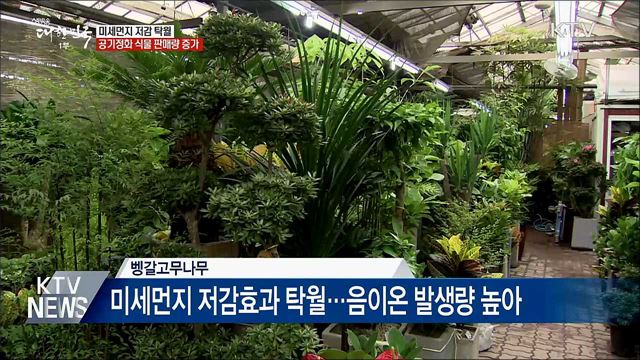 미세먼지 저감 식물 판매량 23&#37; 증가