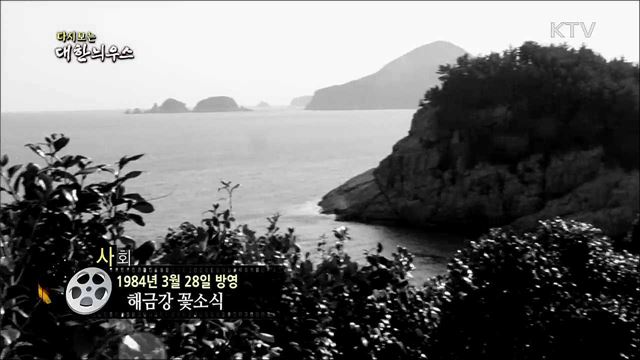 다시보는 대한늬우스 (84. 3. 28) 이미지