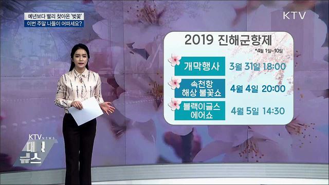 남녘 벚꽃 만발···꽃축제 시작
