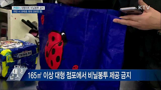 일회용 비닐봉투 사용금지···위반하면 과태료 [현장in]