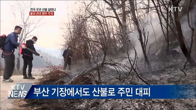 건조하고 강풍 지속···전국 산불 &#39;비상&#39;