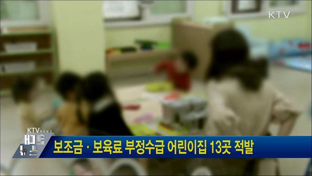 보조금·보육료 부정수급 어린이집 13곳 적발