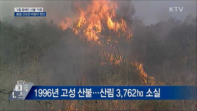 &#39;4월의 악몽&#39;···역대 동해안 산불은?