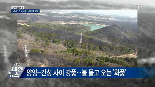 양간지풍 [뉴스링크]