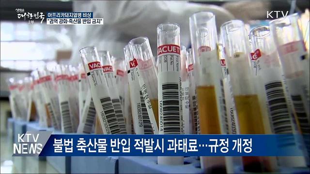아프리카돼지열병 비상···검역 강화·축산물 반입 금지