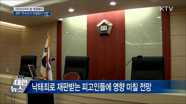 내년까지 법 개정해야···&#34;후속조치 차질없이 진행&#34;
