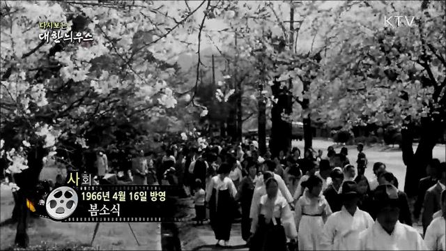 다시보는 대한늬우스 (66. 4. 16) 이미지