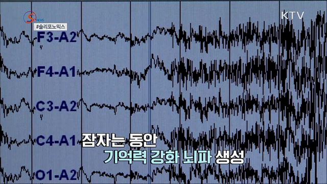 꿀잠을 팝니다 &#39;슬리포노믹스&#39; [S&#38;News]