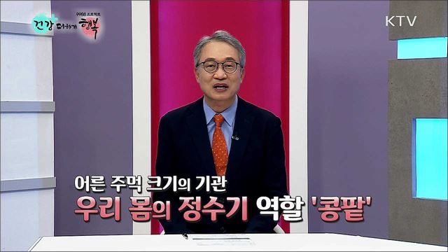 신장이식 약물 검사 건강보험 적용