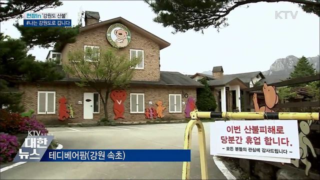 잿더미 뚫고 싹트는 희망···#나는 강원도로 갑니다 [현장in]