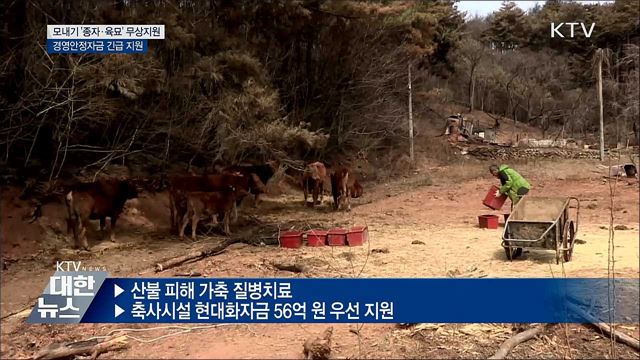 강원 산불 피해지역 &#39;볍씨·자금·일손&#39; 긴급 지원