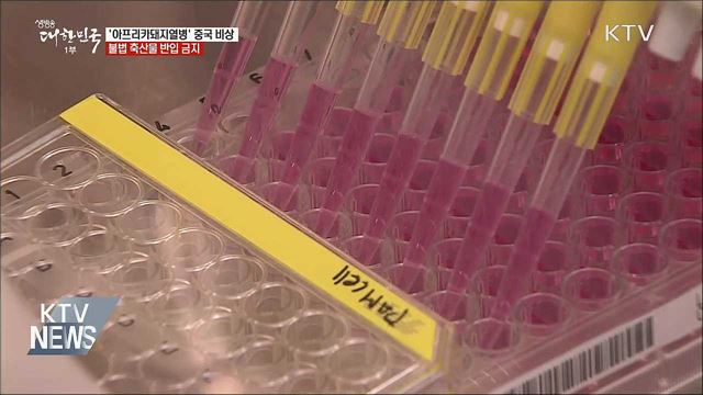 &#39;아프리카돼지열병&#39; 중국서 비상···불법 축산물 반입 금지