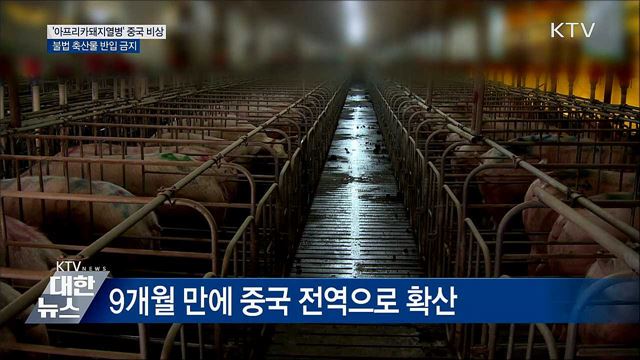 &#39;아프리카돼지열병&#39; 중국서 비상···불법 축산물 반입 금지