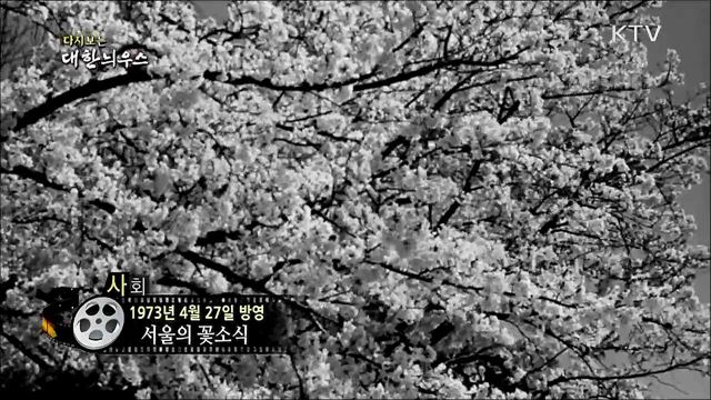 다시보는 대한늬우스 (73. 4. 27) 이미지