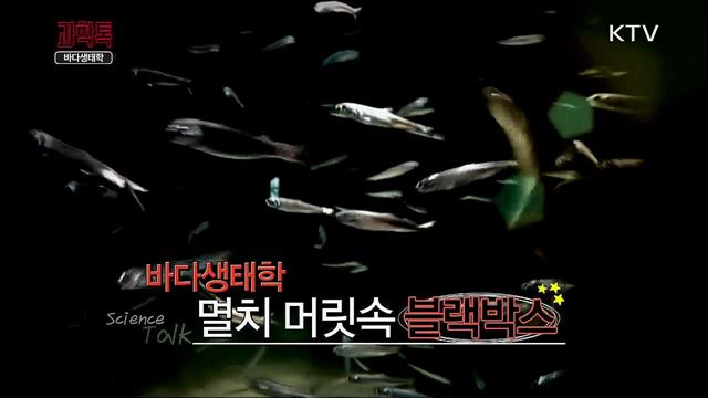 바다생태학, 멸치 머릿속 블랙박스