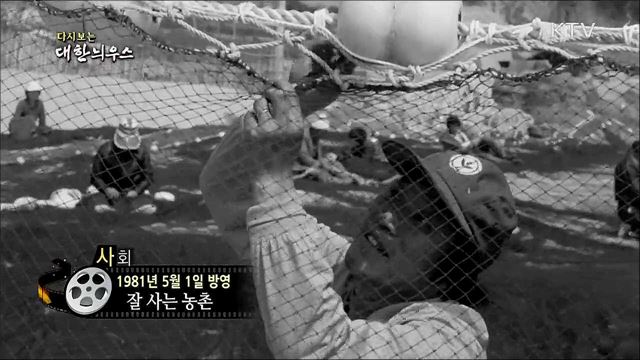다시보는 대한늬우스 (81. 5. 1) 이미지