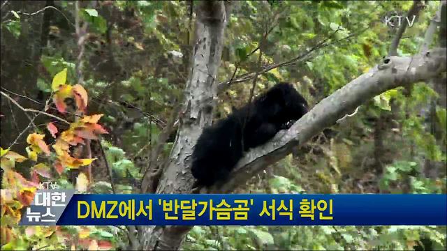 DMZ에서 &#39;반달가슴곰&#39; 서식 확인
