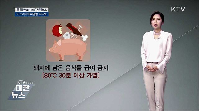 아프리카돼지열병 주의보 [똑똑한 정책뉴스]