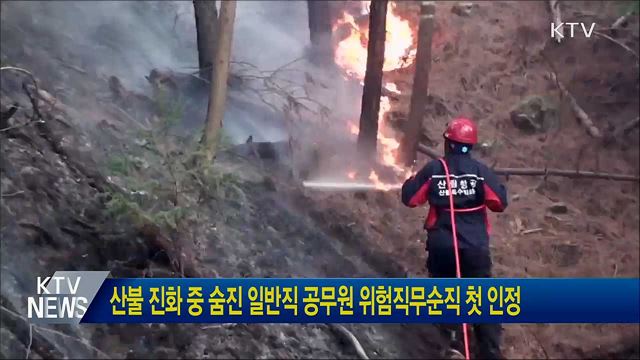 산불 진화 중 숨진 일반직 공무원 위험직무순직 첫 인정