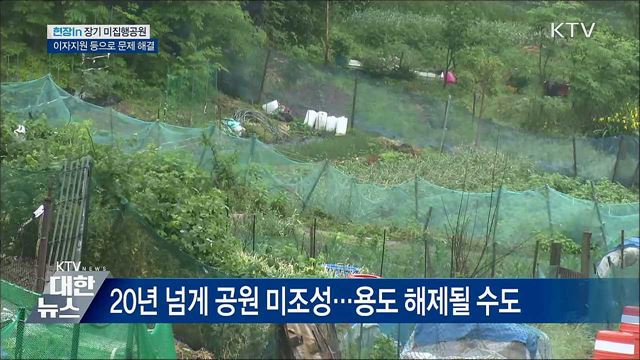 장기 미집행공원 해제 임박···대책은? [현장in]