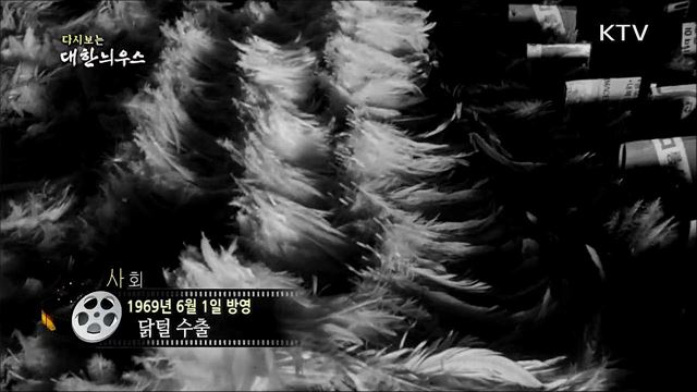 다시보는 대한늬우스 (69. 6. 1) 이미지