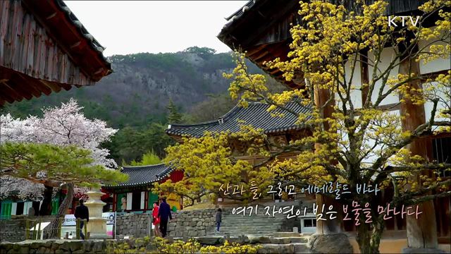 변산에 반하 도다 - 전라북도 부안군