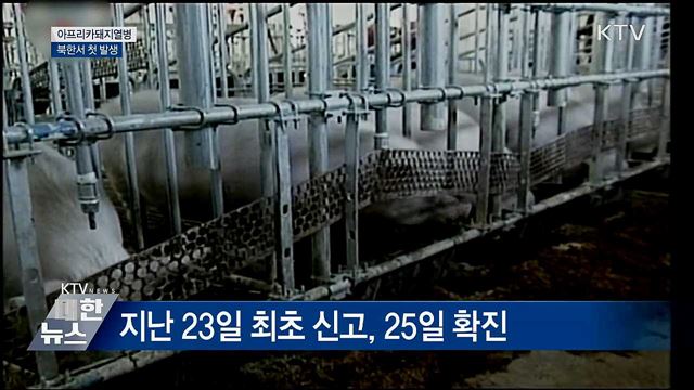 北 아프리카돼지열병 첫 발생···접경지역 방역 강화