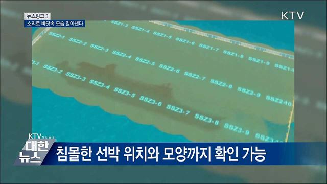 소나 [뉴스링크]