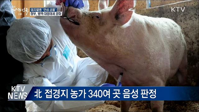 &#39;안심 금물&#39;···돼지열병 예방방역 전국 확대